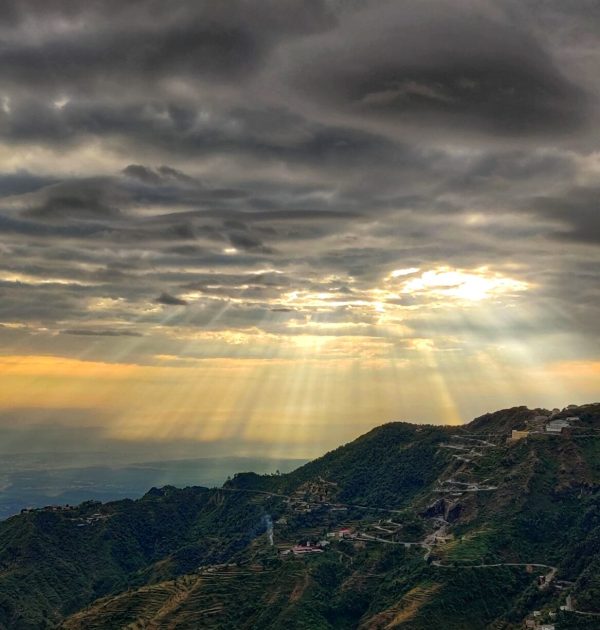 shikha-chauhan-SFCOXN7HVUk-unsplash